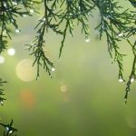 Ten Tips to Enjoy Stronger Erections Ten Tips to Enjoy Stronger Erections Image